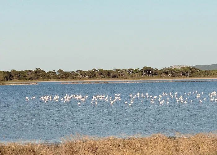 Jasmin Apartment Hyeres